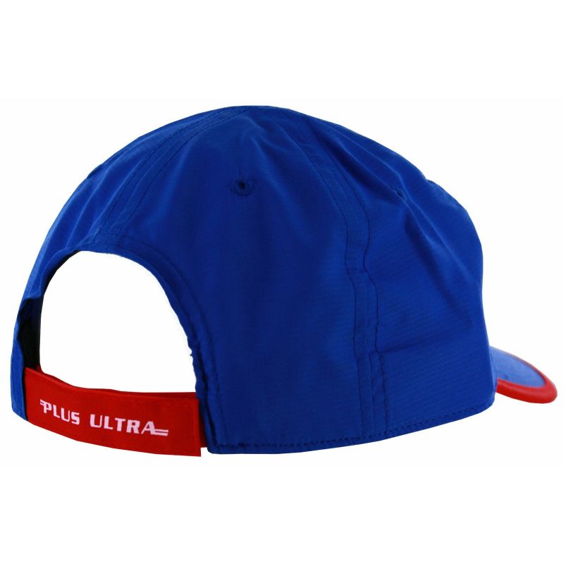 Bioworld My Hero Academia Dad Hat Mens Anime Dad Hat