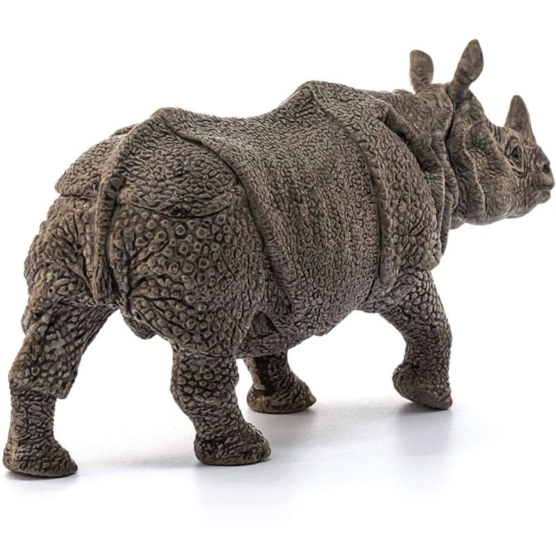 Indian Rhinoceros