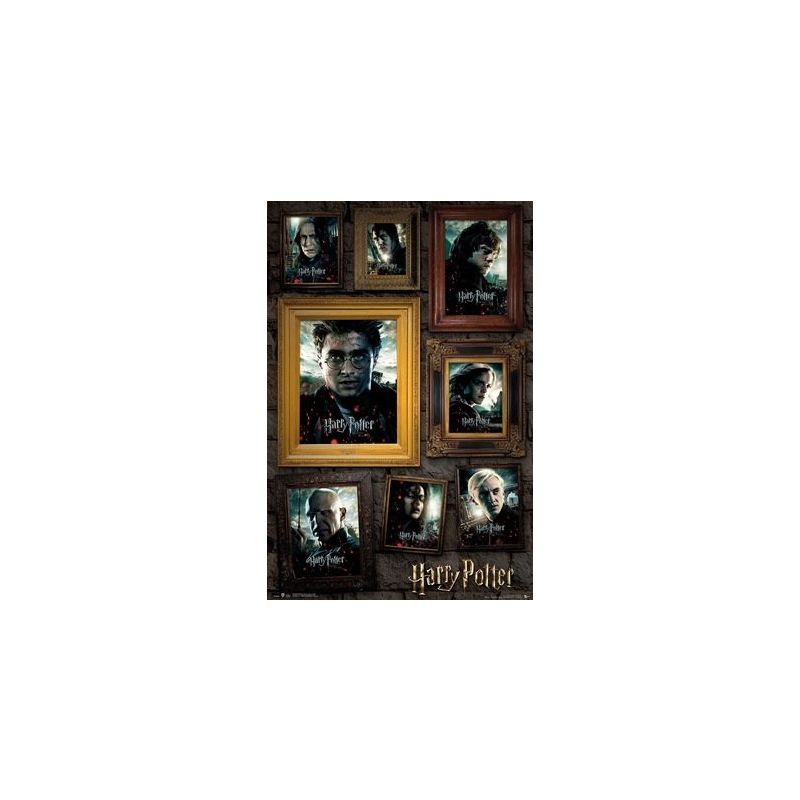 Harry Potter Portrait Maxi Poster 61 x 91.5cm 150gsm
