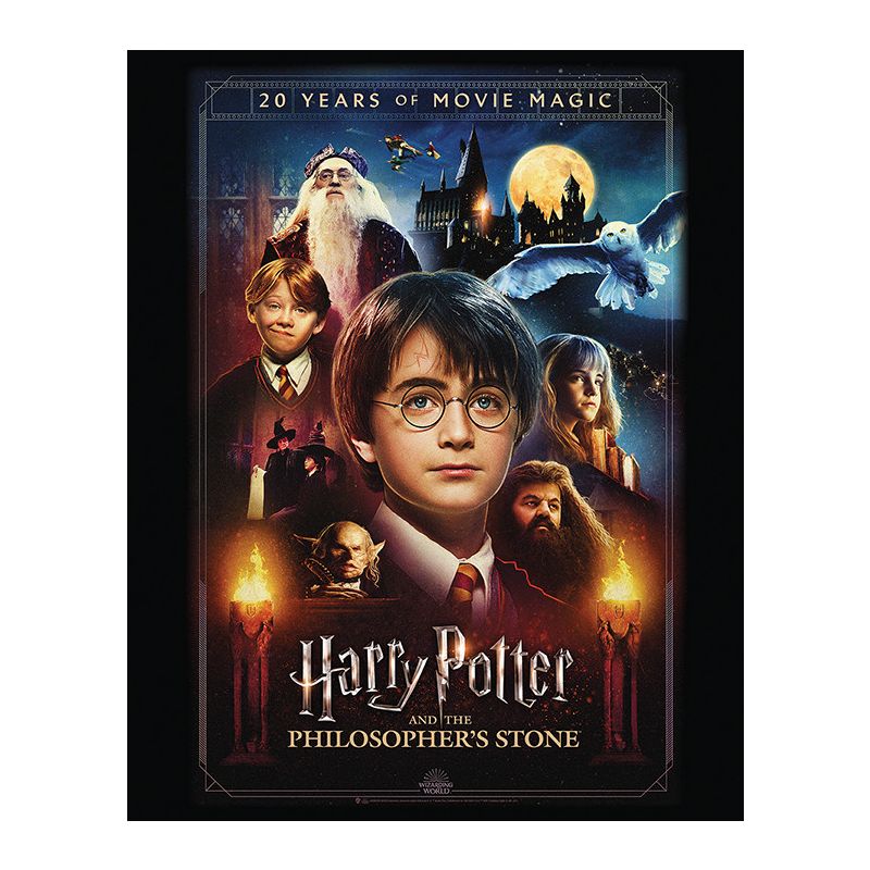 Harry Potter (20 Years of Movie Magic) Canvas Print 40 x 50cm