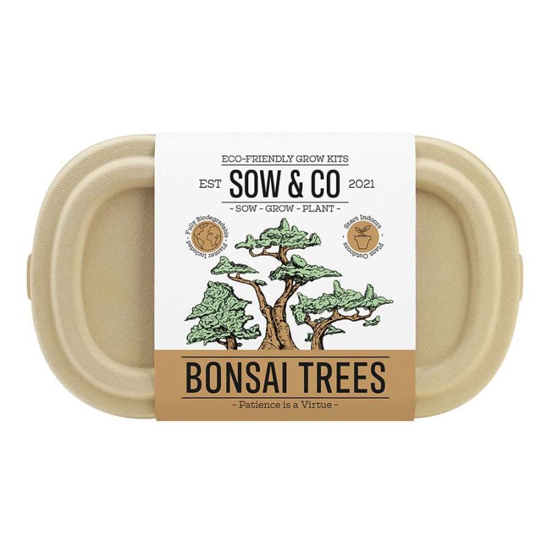 Sow & Co - Bonsai Tree