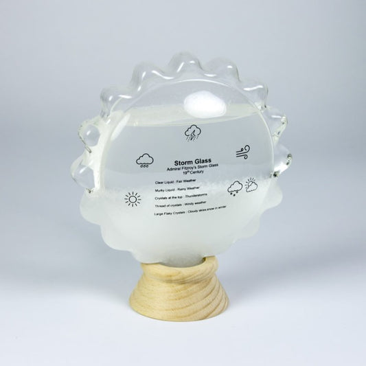 Sun Shaped Storm Cloud Bottle Weather Station Set