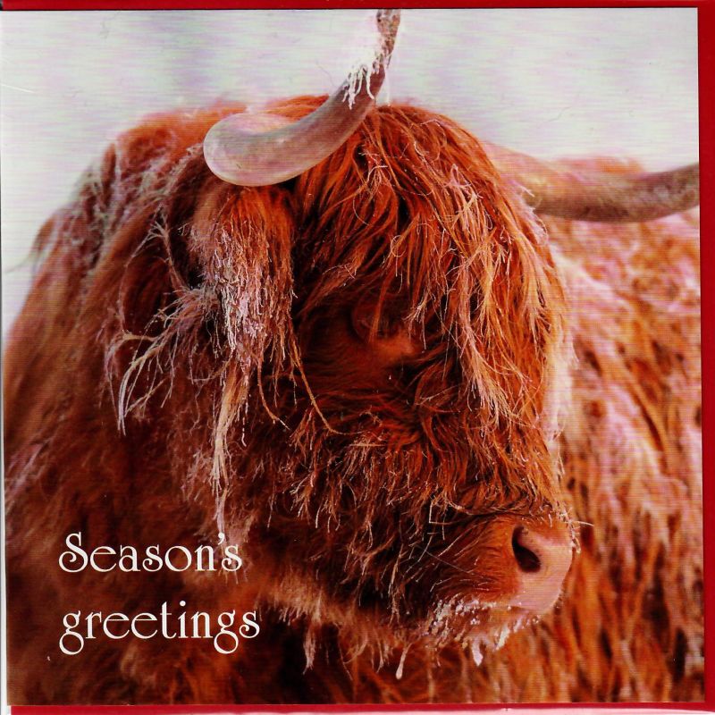 Christmas Card