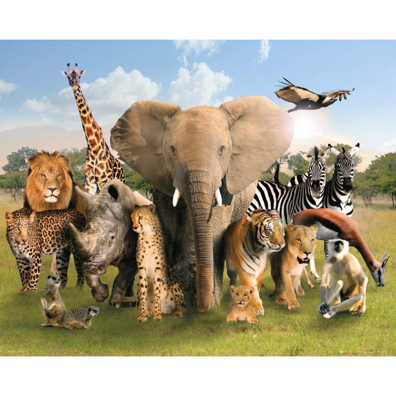 Wild World Group Mini Poster, Multi-Colour, 40 x 50 cm