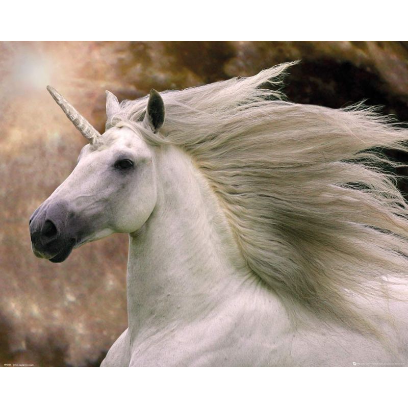 Bob Langrish, Unicorn, Mini Poster 40x50cm