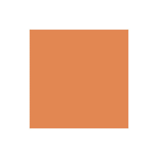 Citadel Dry Golgfag Brown Paint