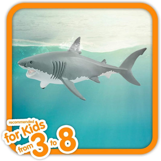 Great White Shark