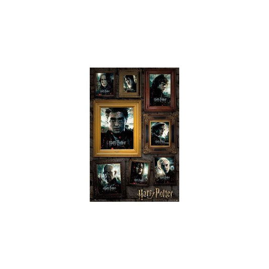 Harry Potter Portrait Maxi Poster     61 x 91.5cm     150gsm