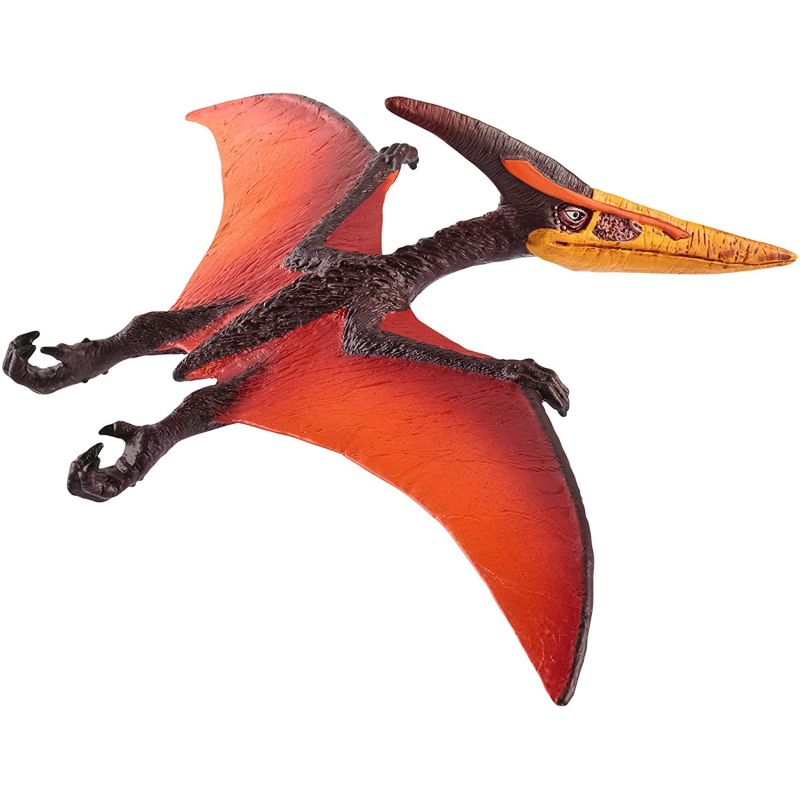 Pteranodon Dinosaur