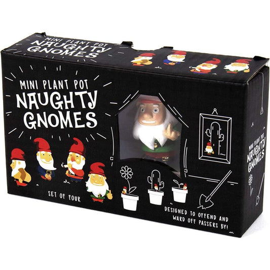 Naughty Gnomes Planters