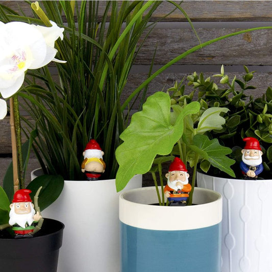 Naughty Gnomes Planters