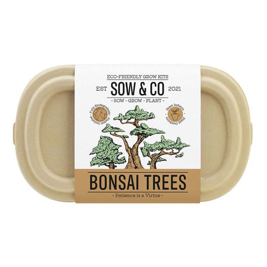 Sow & Co - Bonsai Tree