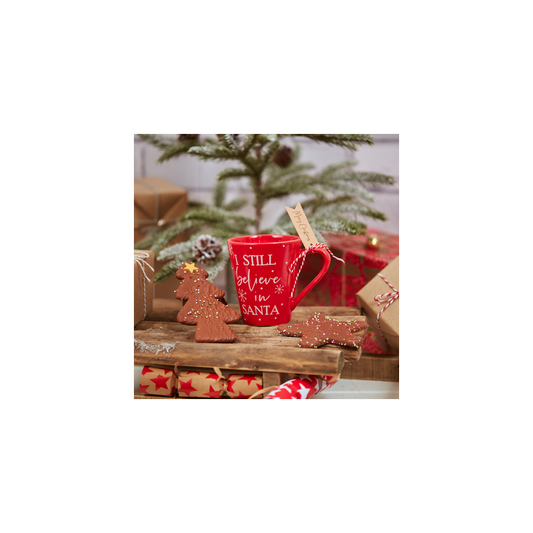 I Still Believe in Santa Christmas Mug