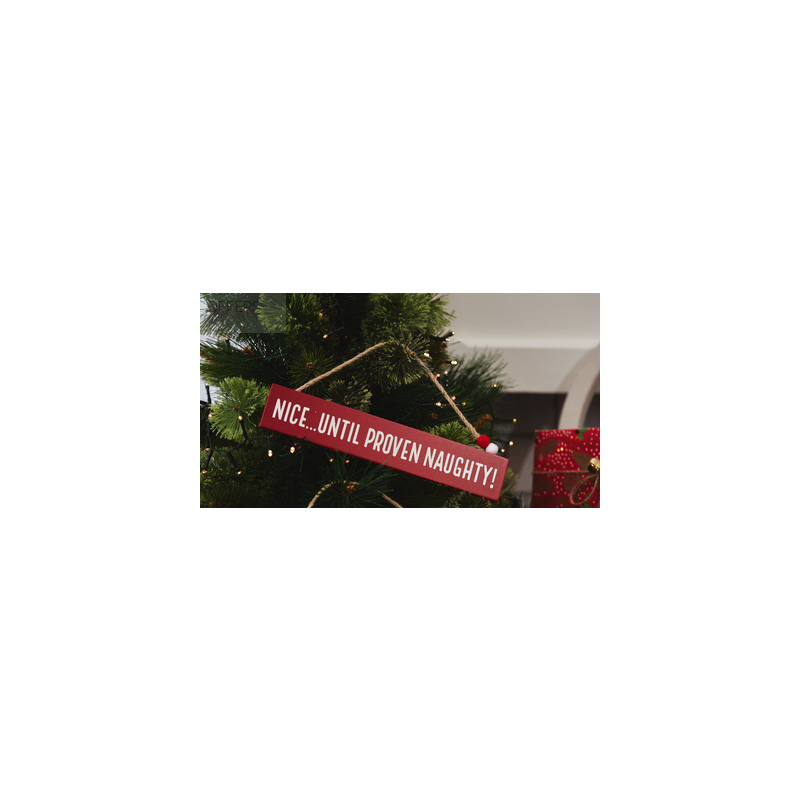 Hanging Plaque "Nice...Until Proven Naughty!"