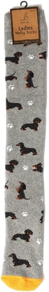 Funky Welly Socks - Sausage Doggie