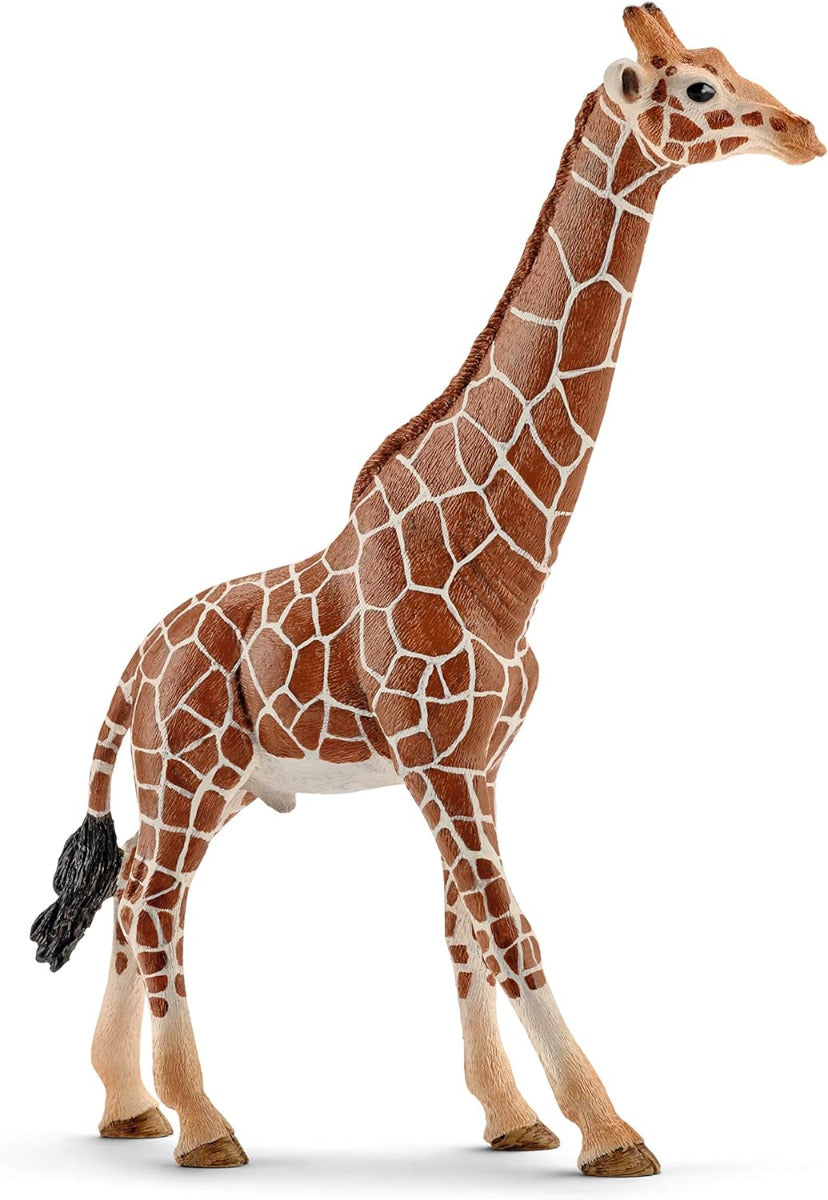 SCHLEICH Giraffe, male Wild Life Toy Figurine for children aged 3-8 Years