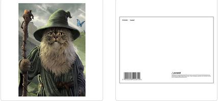 CATDALF SINGLE POSTCARD A6 (1 CARD SUPPLIED)