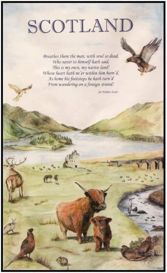 Highland Scene Tea towel