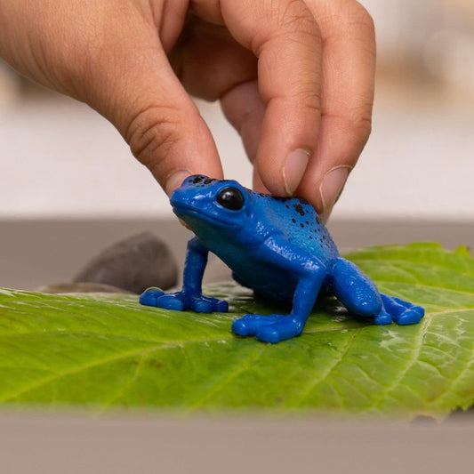 SCHLEICH Blue Poison Dart Frog Wild Life Toy Figurine