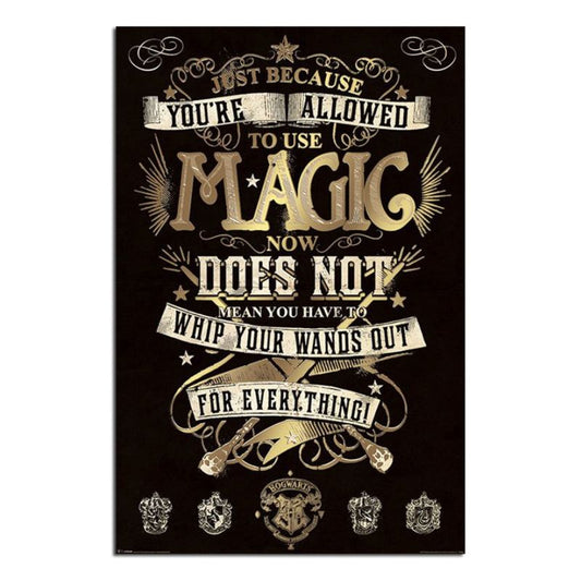 Harry Potter Magic Large Wall Poster New - Maxi Size 36 x 24 Inch