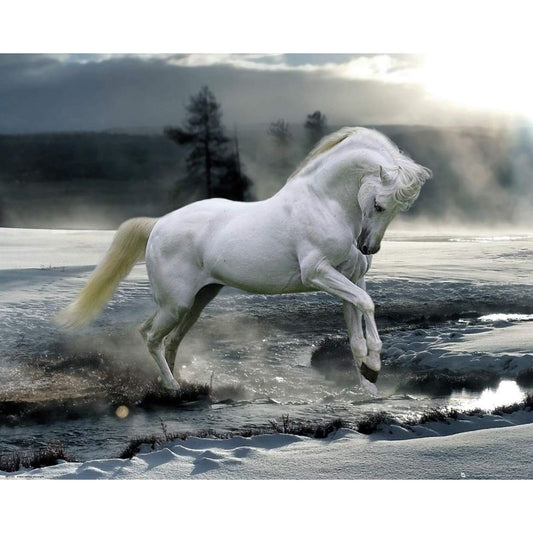 GB Eye, Bob Langrish, Horse Snow, Mini Poster 40x50cm