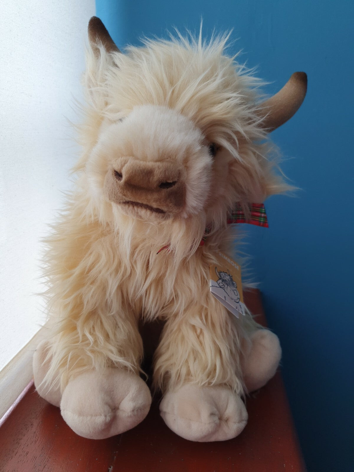 Primrose the Highland Cow teddy Highland Coo soft toy HIGHLAND COWS plush toys