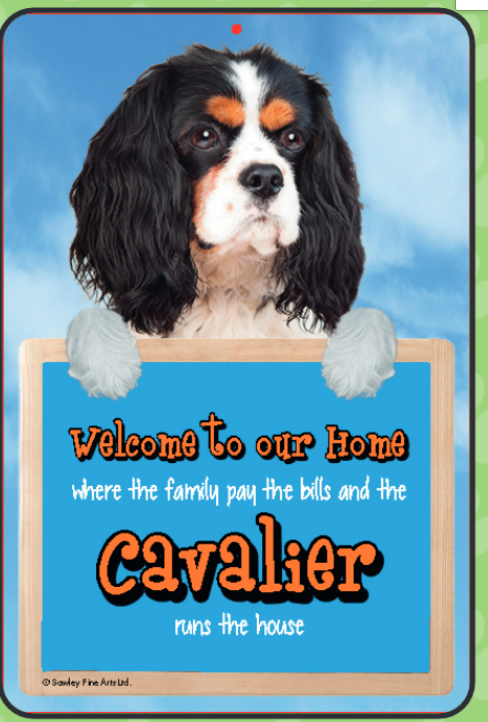 Cavalier (Tri-Colour) Welcome Hang-up