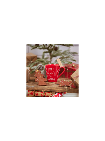 I Still Believe in Santa Christmas Mug