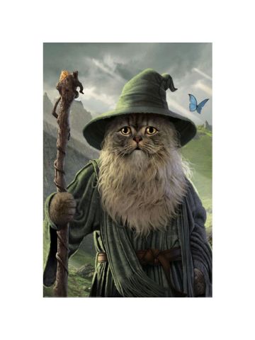 Pyramid Catdalf Lord of the Rings Cat Poster 61 x 91.5 cm