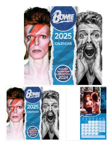 DAVID BOWIE 2025 30X30 SQUARE CALENDAR