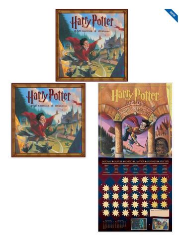 HARRY POTTER (LITERARY) 2025 30X30 SQUARE CALENDAR