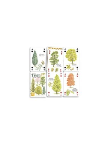 North American trees playing cards