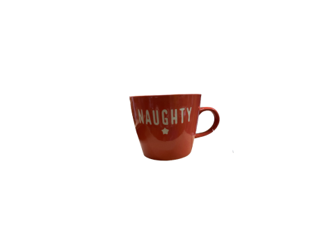 NAUGHTY XMAS MUG