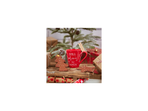 I Still Believe in Santa Christmas Mug