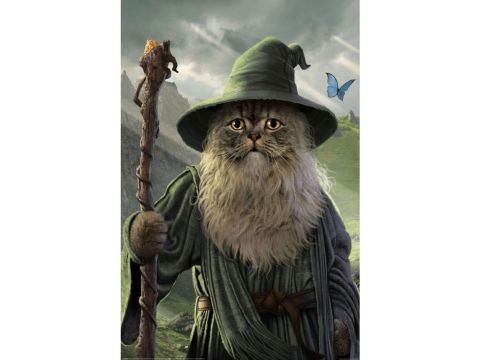 Pyramid Catdalf Lord of the Rings Cat Poster 61 x 91.5 cm