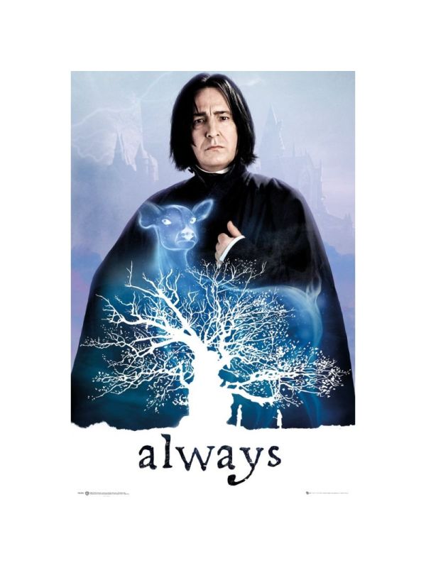 Poster Harry Potter Collection 61x91,5cm